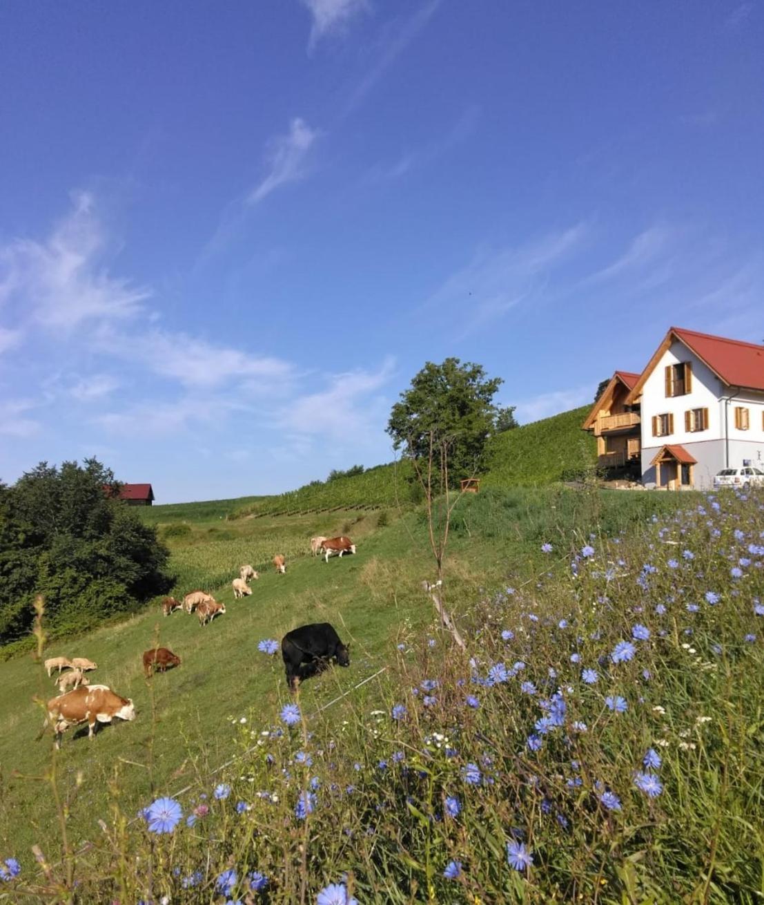 Farm stay Bauernhof Gschmeidler